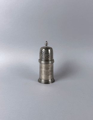 silver plated salt and pepper shaker on a plain surface