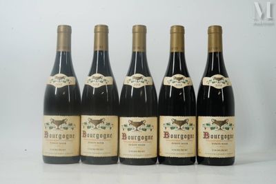 six bouteilles de vin sont alignées sur une surface blanche