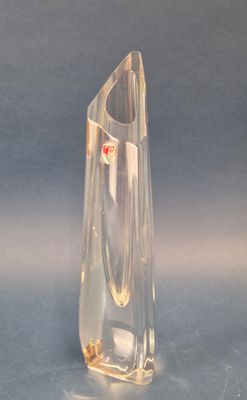 un vase en verre transparent contenant un poisson