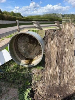 une souche d'arbre qui a été enfoncée dans le sol