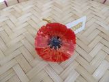 a red flower that is sitting on a woven basket