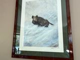 a picture of a turtle on the wall of a house