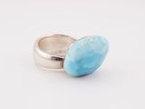 Photo 1/1 du lot