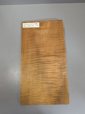 Fond en érable pour violon, ~39,5cm