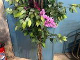 un arbre en pot orné de fleurs violettes