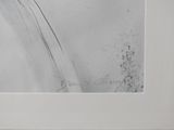 an image of a drawing of a waterfall with a bird perched on top of it