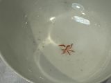 a white bowl with a red starfish in it
