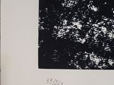 a black and white photo of a black and white picture