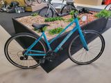 un vélo posé dans une jardinière posée au sol