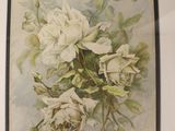 a picture of a painting of white roses in a frame