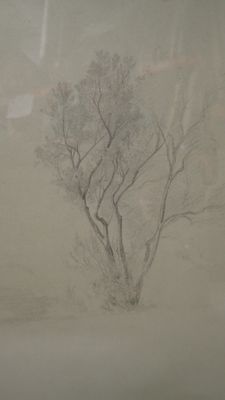 un dessin représentant un arbre au milieu d'un champ brumeux