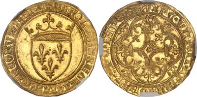 a gold coin with a shield on the front and a shield on the back