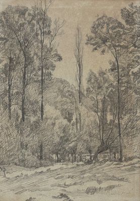 dessin représentant un paysage avec des arbres et une route au premier plan