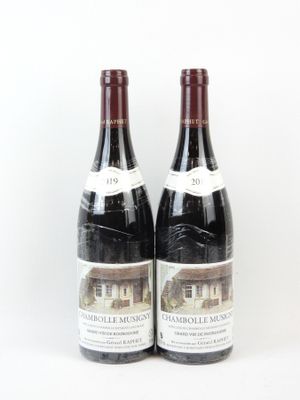 deux bouteilles de vin rouge posées l'une à côté de l'autre sur une surface blanche