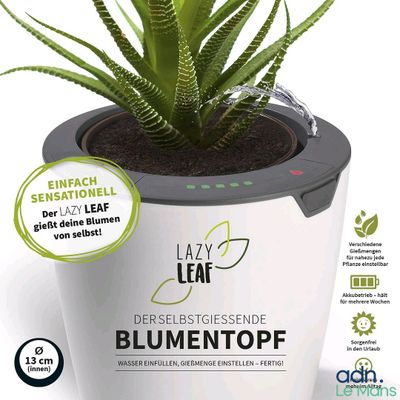 a picture of a plant in a pot with a label on it