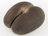 deux morceaux de bois posés l'un sur l'autre