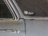 a cat that is sitting in the window of a car