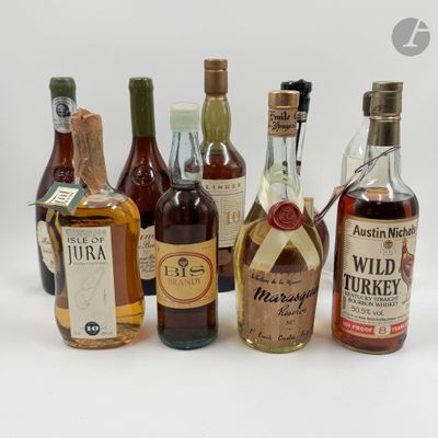 Des bouteilles de différents types d'alcool sont alignées sur une surface blanche