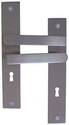 Lot de 2 - Poignées de porte sur plaques longues - Finition …