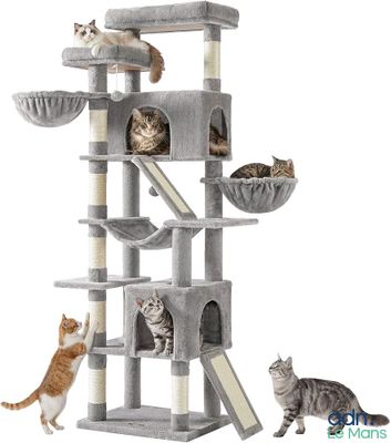 Deux chats jouent avec un arbre à chat sur un fond blanc.