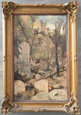 une image représentant un tableau de rochers et d'arbres dans une forêt