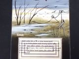 a card with a picture of birds flying in the sky