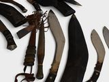 many different types of knives on a white surface
