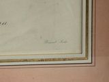 a framed picture of a blue bird with a feather on it
