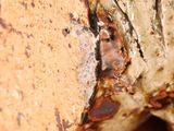 a close up of a piece of bread on a cutting board