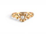 a close up of a gold ring with a pearl in it