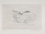 pencil drawing of a cat laying down on a white surface