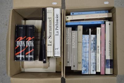 deux cartons posés par terre, contenant des livres