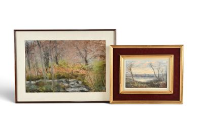 deux tableaux encadrés représentant des arbres et une rivière, dans un cadre en bois