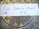 Photo 5/6 du lot