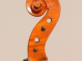 a close up of the back of a violin