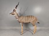 a statue of a large antelope standing in a room