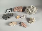 a lot of rocks that are on the table
