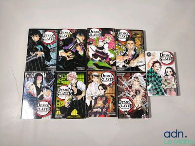 beaucoup de livres sur les anime qui sont posés sur la table