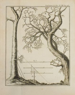 un vieux livre sur lequel figure le dessin d'un arbre et d'un oiseau