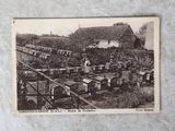 une photo d'une carte postale représentant une ferme avec des ruches