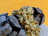 gold nugget on a piece of wood with a gold nugget on top