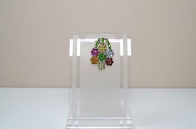a clear display case with a pair of earrings on it