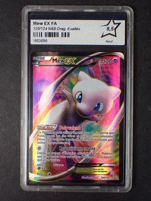 un gros plan d'une carte Pokémon sur laquelle figure un chat