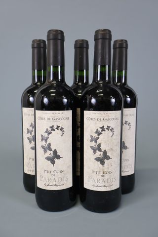Lot de 5 bouteilles de vin rouge « P’tit coin de Paradis, Côtes d...