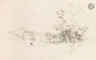 dessin représentant un paysage avec un arbre et une personne au loin