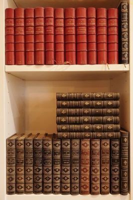 beaucoup de livres sur les étagères de la pièce