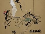 la couverture d'un vieux livre sur laquelle figure le dessin d'un oiseau survolant une rivière