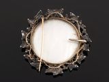 a close up of a broochle with a stick sticking out of it