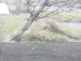 a picture of a painting of a bear in a field