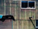 un chien assis à la fenêtre d'un immeuble